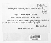 Puccinia violae image